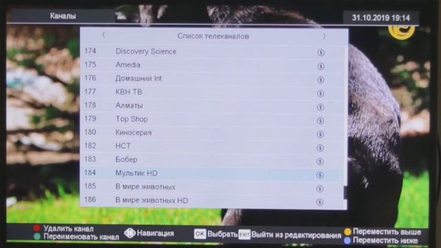 Сортировка каналов на свой вкус в ТВ приставке DSN (Алма ТВ) смотреть онлайн