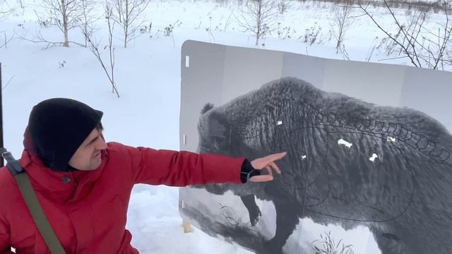 Лучшая пуля 12 калибра для стрельбы через кусты смотреть онлайн