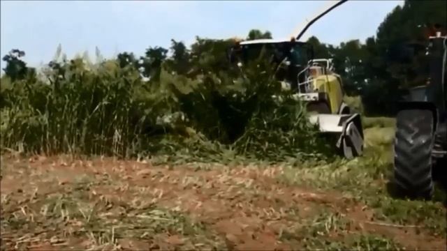 Жатка Dominoni сбривает кормовые травы до голой земли. смотреть онлайн