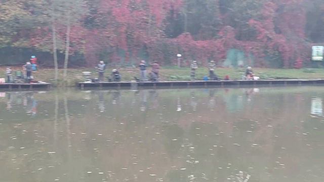 Голицыно Fish, 30 сентября смотреть онлайн