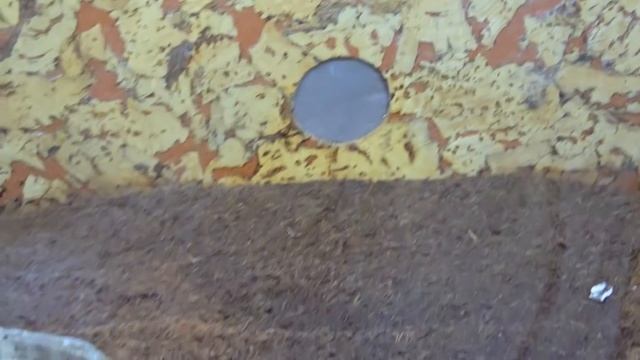 ПОТОП. ТАРАКАНЫ. ПАУКИ и ВСЯКАЯ НЕЧИСТЬ... ВЛОГ смотреть онлайн