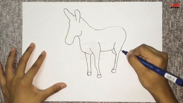 How to Draw a Donkey Drawing for Beginners | Easy Donkey Outline & Sketch Step by Step to Follow смотреть онлайн