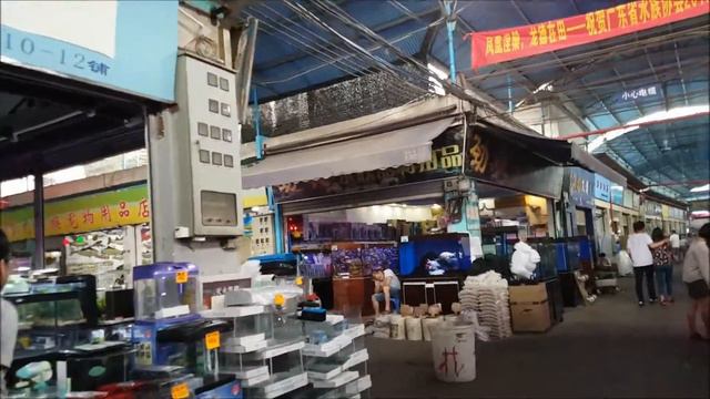 Art. Pesca y Aquarios en Guangzhou │ China #4 смотреть онлайн