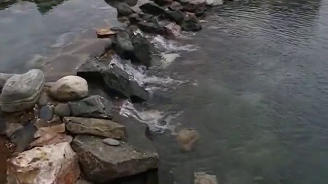 Строительство декоративных водоемов - Благоустройство территории в Москве и Москсовской области смотреть онлайн