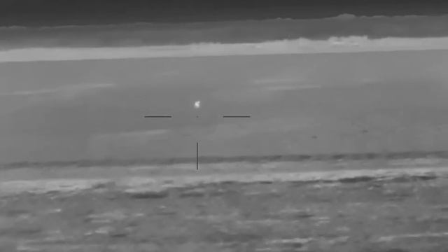 Заяц в тепловизионный прицел Guide Tr450, 200+м