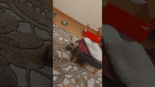 Что такое усталость? смотреть онлайн