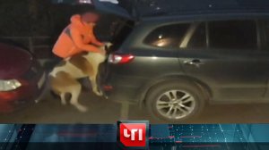 «ЧП»: 25 апреля 2024 года | «Чрезвычайное происшествие» на НТВ