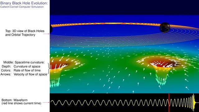 Binary Black Holes Orbit and Collide [720p] смотреть онлайн