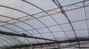 Теплица из проф.трубы