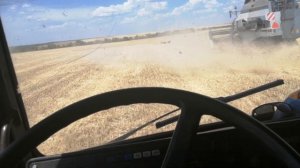 Комбайн ВЕКТОР 410|Уборка озимой пшеницы 2020|СЕЛЬСКОЕ ХОЗЯЙСТВО