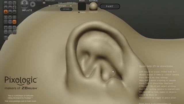 Sculptris - Female Head Part I