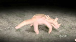 SHORT stories - Walks of Life - Cyriak