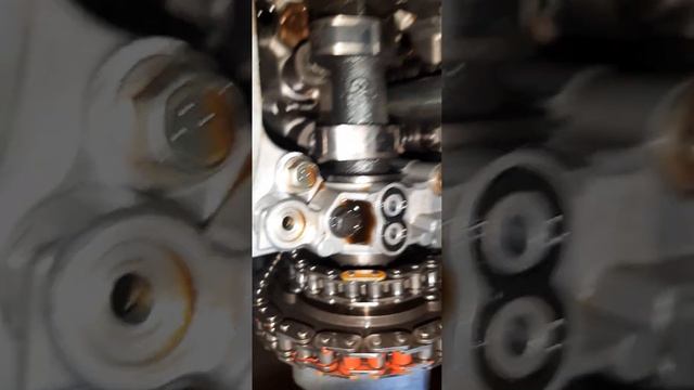 таёта ланд крузер 300 1ur fe замена цепи грм по порядку смотреть онлайн