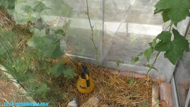 Теплица, огород/ Как дела у вас!??/ Часть №1/Московская обл./ greenhouse/ thegarden смотреть онлайн