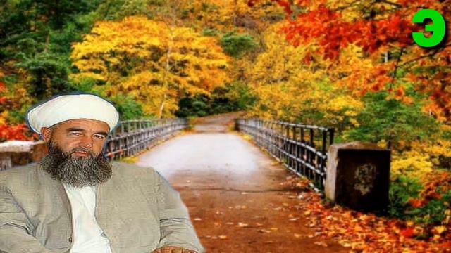 Эшони Нуриддинчон Барои Чи Мо Инчилла Намесузонем смотреть онлайн