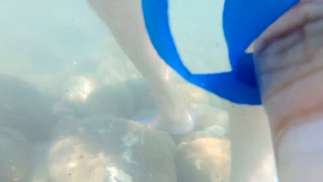 Водонепроницаемый чехол смартфона - скромный девайс для подводной съемки смотреть онлайн