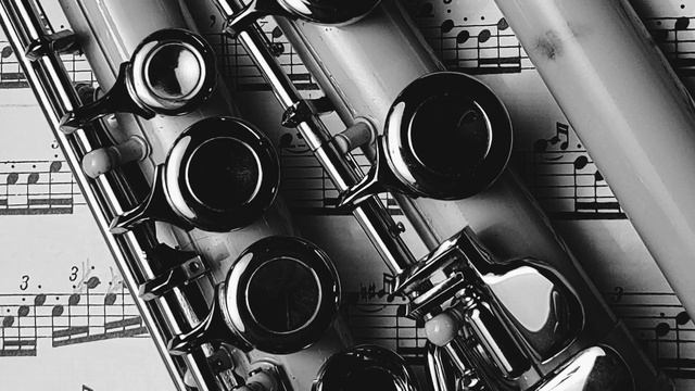 Elementary Method Flute (Rubank) Lesson 11 -1 смотреть онлайн