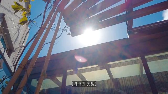 ??) 혼자 현지인 추천 맛집 찾아가기 - 울릉도 한달살기(7) смотреть онлайн