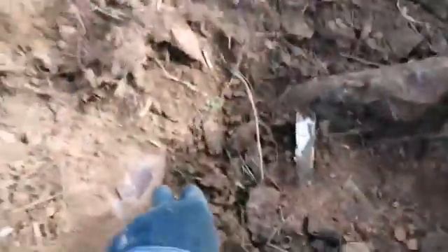 САМАЯ ДОРОГАЯ НАХОДКА! КОП МЕТАЛЛА С МЕТАЛЛОИСКАТЕЛЕМ.#металокоп#коп металла смотреть онлайн