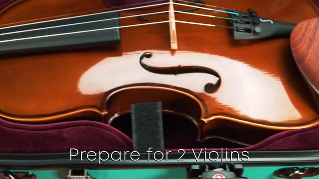 Crossrock Double VIOLIN / VIOLA Fiberglass Case - Instrument Protection with GREAT Design. смотреть онлайн