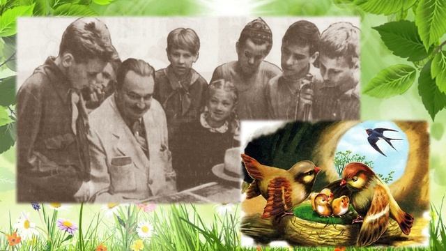 Бианки смотреть онлайн