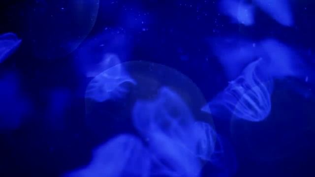 Музыка для сна смотреть онлайн