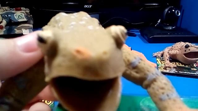 лягушки макси и еще +5 лягушек смотреть онлайн