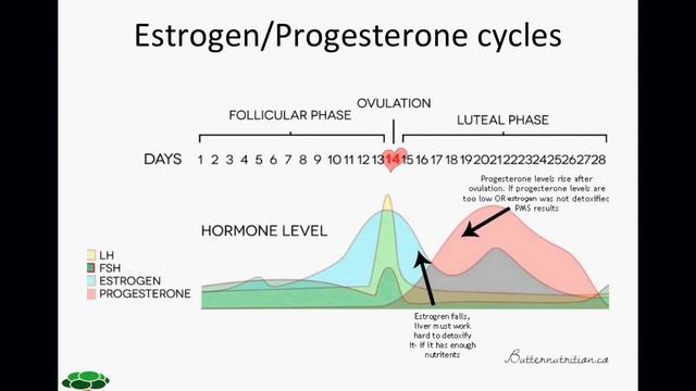 Fibroids Pt 1 смотреть онлайн