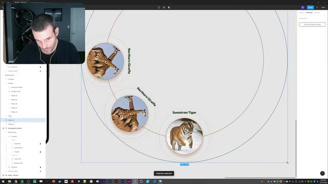 UI Daily 1hour 17 - Endangered Animal Info смотреть онлайн