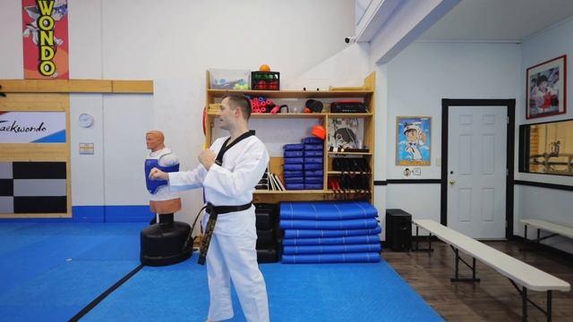 Taekwondo White Belt Basics? смотреть онлайн