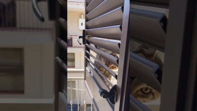 VID_20231112_123407_077.mp4