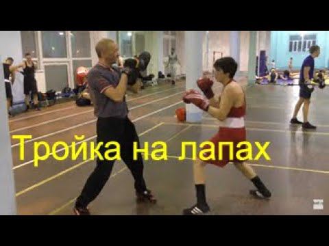 Бокс: тройка на лапах/Boxing: one-two-three on mitts смотреть онлайн