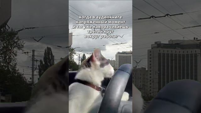 POV: когда в аудиокниге захватывающий момент #booktok #аудиокнига смотреть онлайн