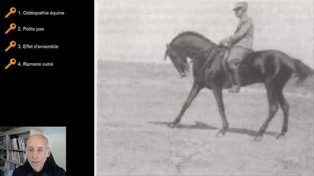 Les 7 Clés De L'équitation De François Baucher