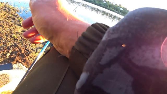 Прикормка из СВЕТОФОРА! Рыбалка на Оке в сентябре! Ловля на фидер! г.Касимов смотреть онлайн