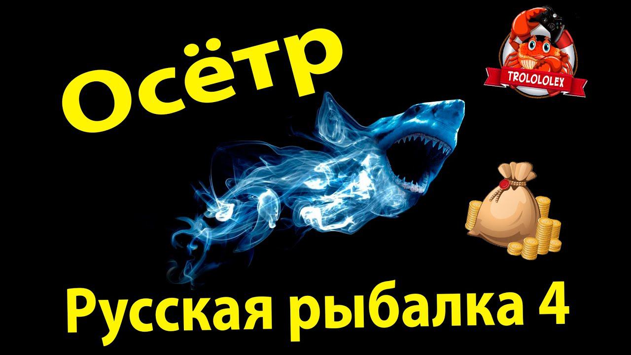 Русская рыбалка 4 Осетр русский Фарм на Ахтубе смотреть онлайн