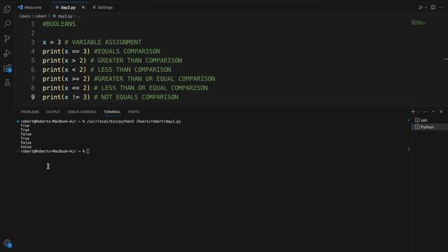 Intro. to Programming with Python #2 - if-else statements, booleans, and more datatypes! смотреть онлайн