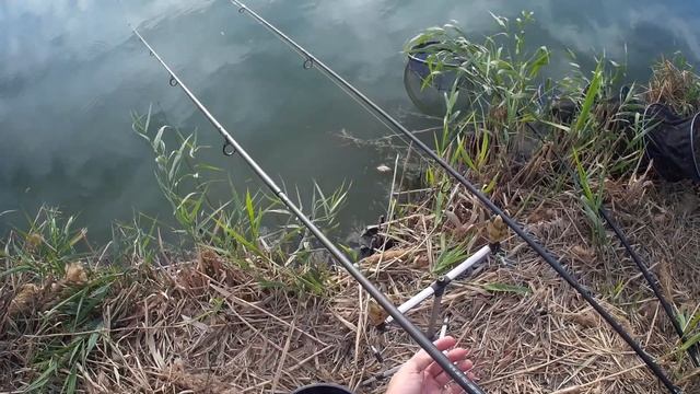 КАРПОВЫЙ ФЛЭТ МЕТОД на платнике !!! Ловля на ПОП-АП (POP-UP)!!!