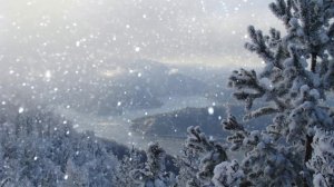 Футаж. Зимний пейзаж 72