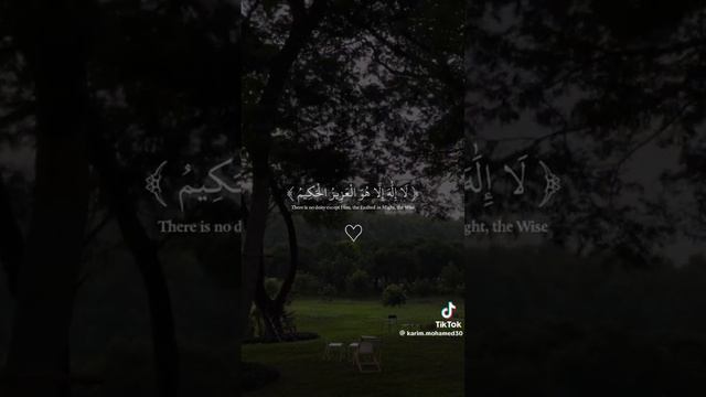 Quran verse #islam #muhammad #jesus #samshamoun #foryou #trending #viral #christian #quran смотреть онлайн