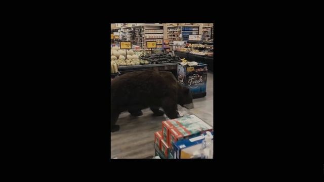 Don't Look Up - Comet Hits the Earth смотреть онлайн