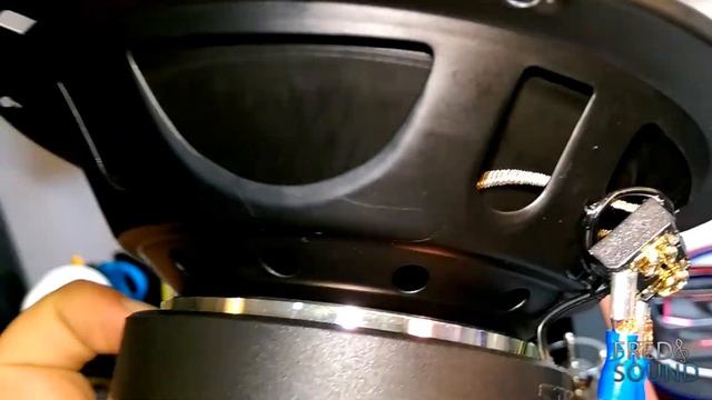 STEG K2.01 VS STEG SQ650 Include AQXM2 Made In Italy (INT)