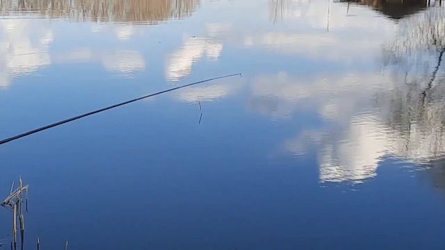 один день рыбалки Новый сезон смотреть онлайн