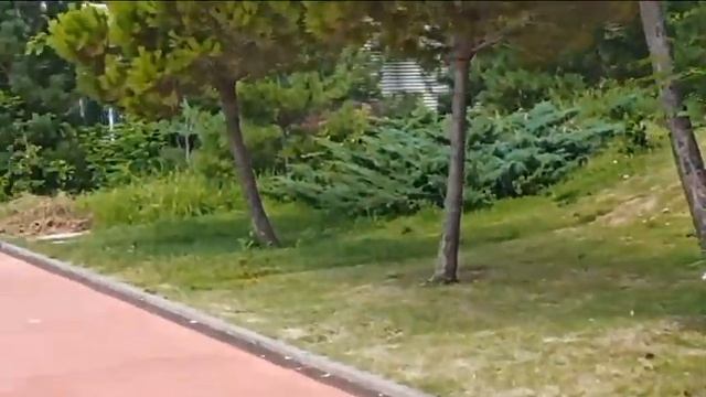 Пляжи Адлера. Совхоз Россия в районе отеля Sport inn смотреть онлайн