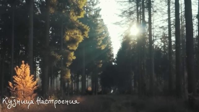 12 апреля Великая Среда. Что нельзя делать 12 апреля . Народный традиции и приметы.