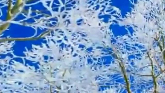 Журга Подари — Видео@Mail Ru22 смотреть онлайн