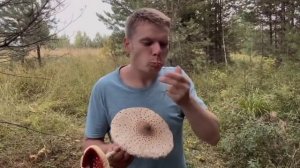 Малой и поход за грибами