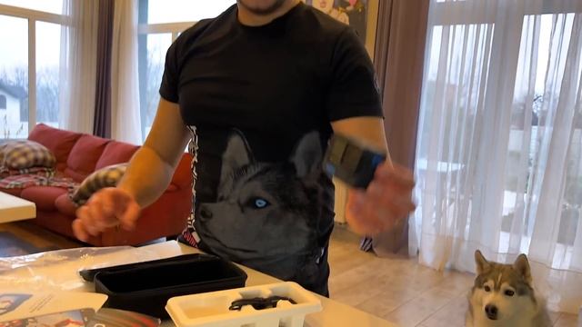 СОБАКА СПАСАЕТ ТОНУЩЕГО ХАСКИ В БАССЕЙНЕ смотреть онлайн