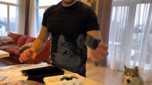 СОБАКА СПАСАЕТ ТОНУЩЕГО ХАСКИ В БАССЕЙНЕ