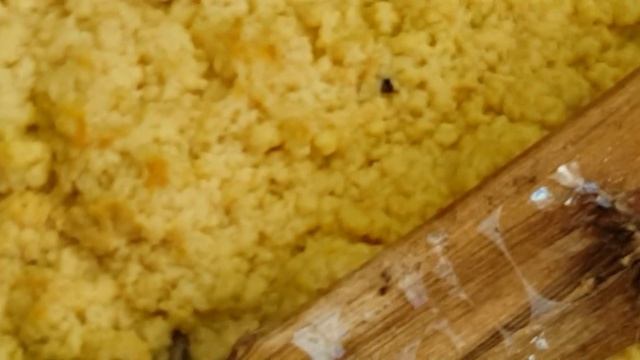 Yellow slime mold смотреть онлайн